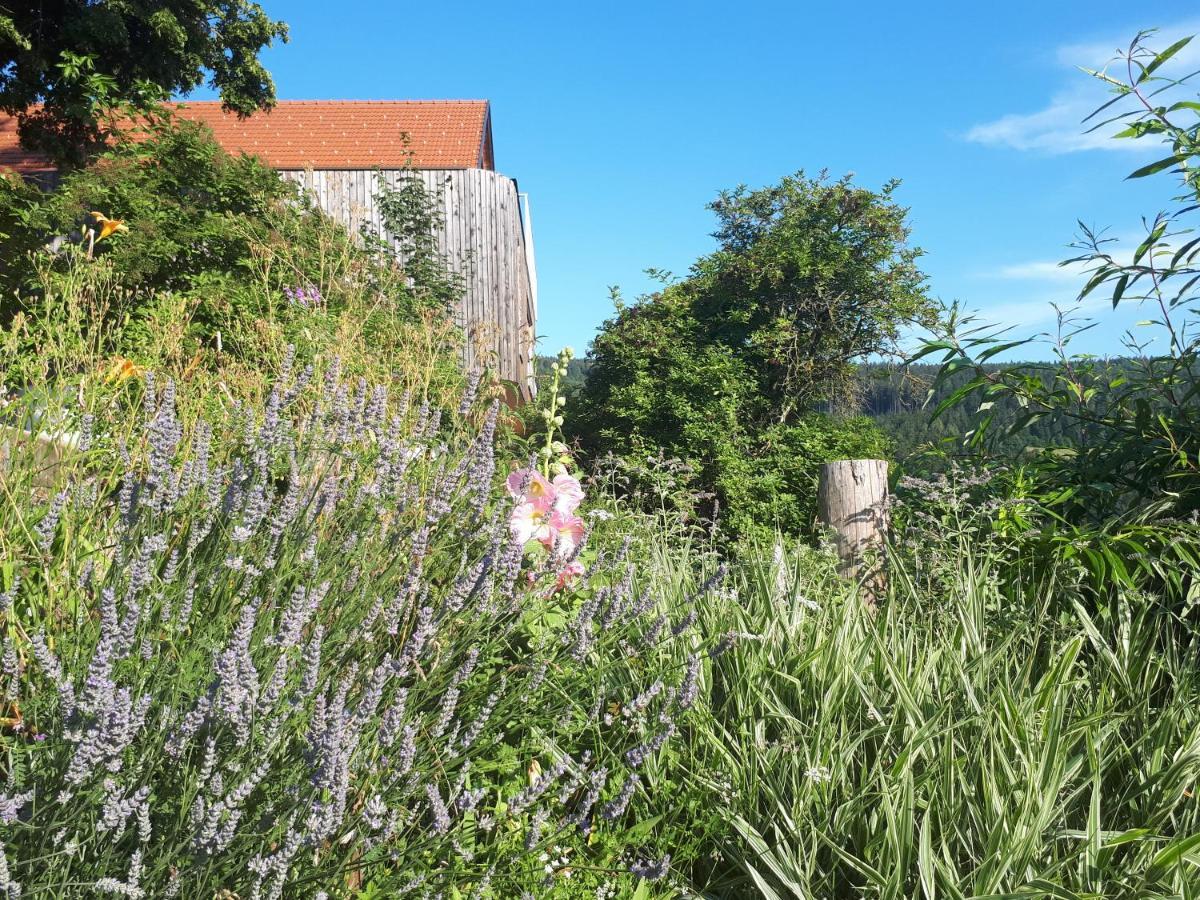 布莱堡Suedalpen Lofts公寓 外观 照片