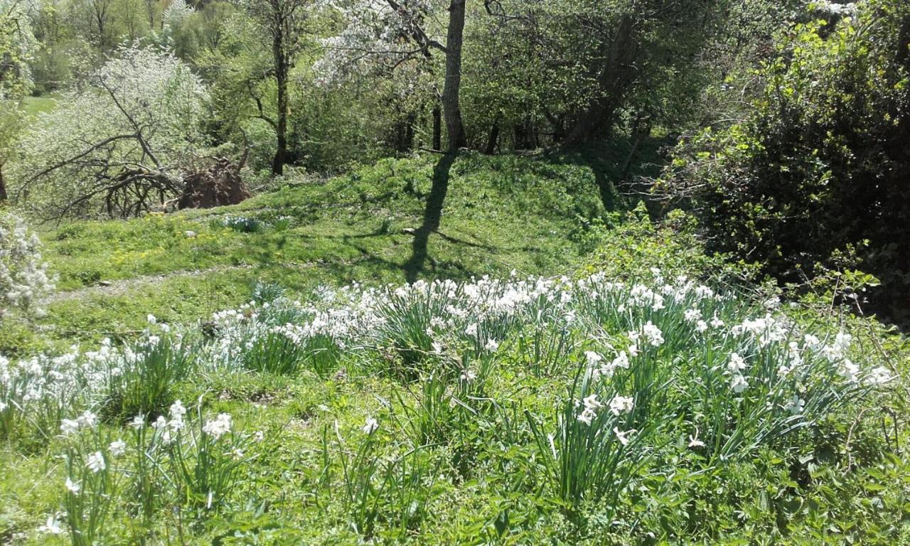 布莱堡Suedalpen Lofts公寓 外观 照片